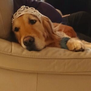 Meet your Posher, Kellie